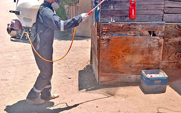 CONTINÚAN ACCIONES DE PREVENCIÓN Y CONTROL DE RICKETTSIOSIS EN LA ZONA DE VIZCAÍNO