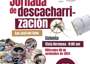 SALUD ESTATAL Y AYUNTAMIENTO DE LOS CABOS REFORZARÁN COMBATE AL DENGUE CON JORNADAS DE DESCACHARRIZACIÓN