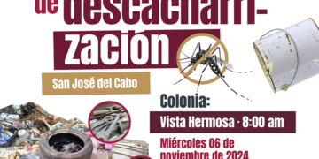 SALUD ESTATAL Y AYUNTAMIENTO DE LOS CABOS REFORZARÁN COMBATE AL DENGUE CON JORNADAS DE DESCACHARRIZACIÓN