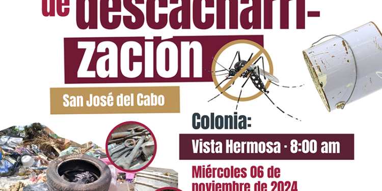 SALUD ESTATAL Y AYUNTAMIENTO DE LOS CABOS REFORZARÁN COMBATE AL DENGUE CON JORNADAS DE DESCACHARRIZACIÓN