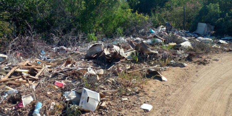 Multarán hasta con 2 millones de pesos a responsables de tiraderos clandestinos en Los Cabos