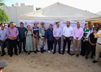 Arranca campaña contra el dengue en Los Cabos; brigadas visitarán casa por casa