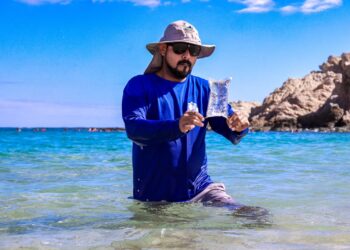 Playas certificadas de Los Cabos están en óptimas condiciones para uso recreativo: Zofemat