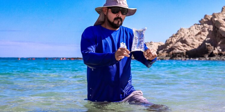 Playas certificadas de Los Cabos están en óptimas condiciones para uso recreativo: Zofemat