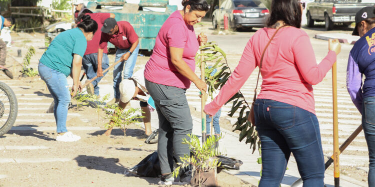 Se reforestaron más de 90 árboles durante el mes de octubre