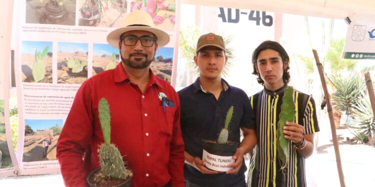 UABCS impulsa la agricultura sostenible en zonas áridas mediante el estudio de cactáceas y frutales 