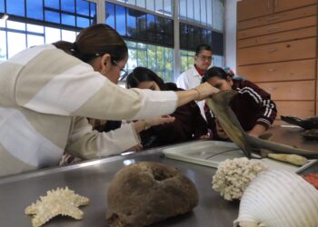 UABCS fomenta vocaciones científicas de niños y niñas de primaria en su Semana de Acercamiento a la Ciencia