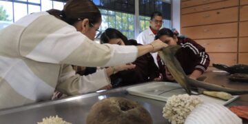 UABCS fomenta vocaciones científicas de niños y niñas de primaria en su Semana de Acercamiento a la Ciencia