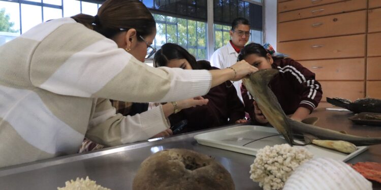 UABCS fomenta vocaciones científicas de niños y niñas de primaria en su Semana de Acercamiento a la Ciencia