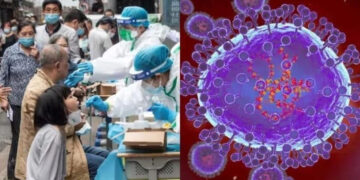 Metapneumovirus en Sinaloa: 150 casos confirmados, lo que debes saber