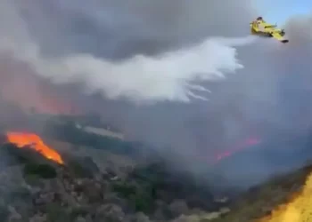 Bomberos mexicanos llegan a California; agradecen a Sheinbaum