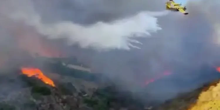 Bomberos mexicanos llegan a California; agradecen a Sheinbaum