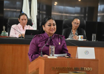 Propone diputada Dalia Collins que cada diciembre sea mes de la inclusión de las personas con discapacidad