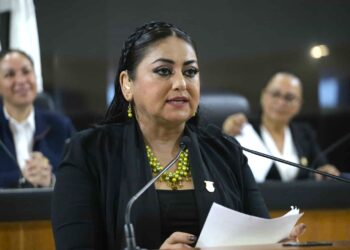 La restricción de pirotecnia impacta favorablemente a la salud y seguridad de las personas: Diputada Dalia Verónica Collins Mendoza