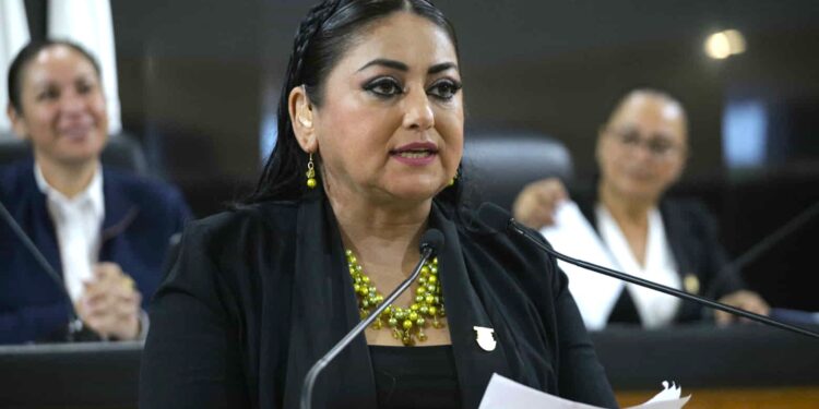 La restricción de pirotecnia impacta favorablemente a la salud y seguridad de las personas: Diputada Dalia Verónica Collins Mendoza