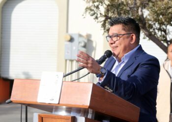 Los Cabos de los primeros lugares en liberación de tortugas en México