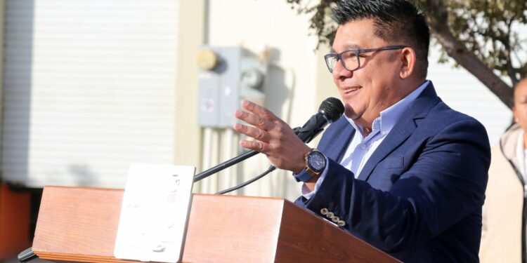 Los Cabos de los primeros lugares en liberación de tortugas en México