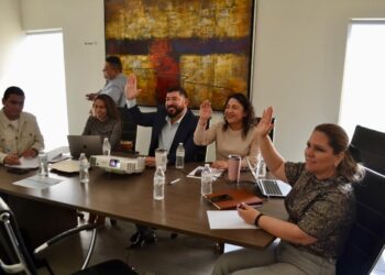 Los Cabos avanza en la consolidación de su Perfil Municipal para fortalecer el turismo