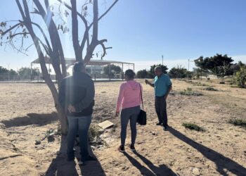 Impulsa IMAIA programa “Huerto Comunitario”