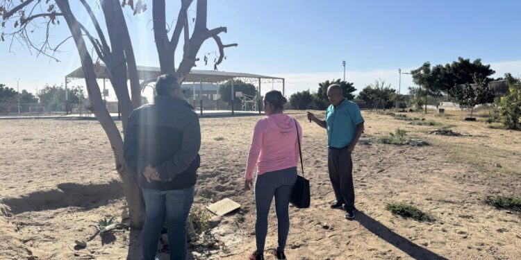 Impulsa IMAIA programa “Huerto Comunitario”