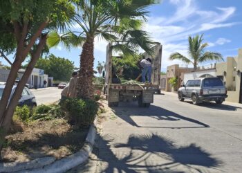 Invita Servicios Públicos a la campaña de limpieza en San José del Cabo