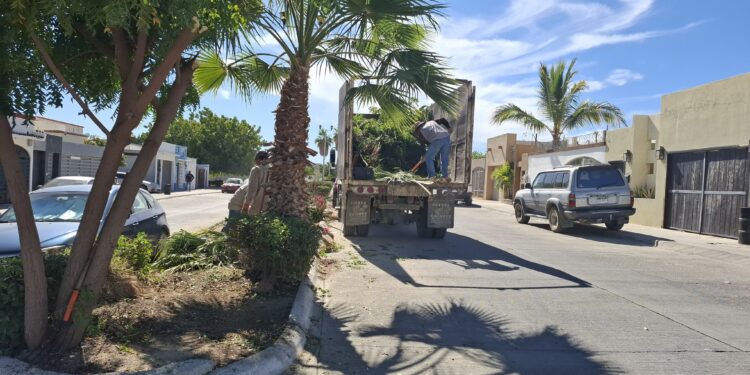 Invita Servicios Públicos a la campaña de limpieza en San José del Cabo