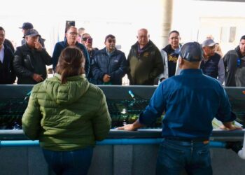 GOBIERNO DEL ESTADO, CONAPESCA,  Y PRODUCTORES SUMAN ESFUERZOS PARA MEJORAR APROVECHAMIENTO DE ABULÓN EN LA PACÍFICO NORTE