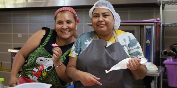 BCS ES REFERENTE NACIONAL EN LA GENERACIÓN DE EMPLEO: STByDS