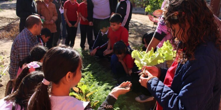 DURANTE EL 2024, MÁS DE 5 MIL 400 PERSONAS PARTICIPARON EN ACTIVIDADES DE EDUCACIÓN AMBIENTAL