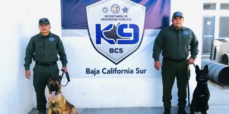 SUMAN A LA SSPE, DOS CANINOS PARA FORTALECER OPERATIVOS DE SEGURIDAD