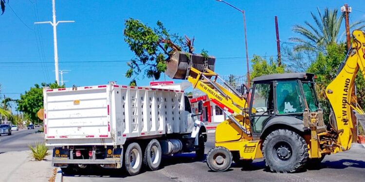 Servicios Públicos recolecta más de 9 mil toneladas de residuos en el 2024