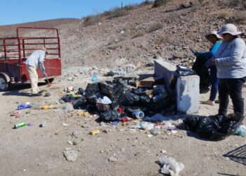 Avanza Zofemat La Paz en limpieza y conservación de playas 