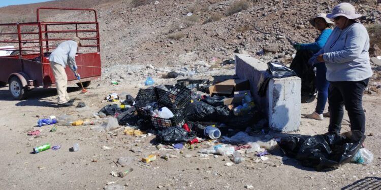 Avanza Zofemat La Paz en limpieza y conservación de playas 