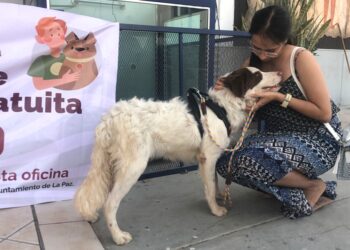 CEMAC realiza más de mil esterilizaciones y cerca de 200 adopciones durante 2024
