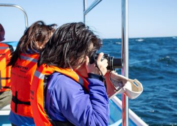 Imparten Taller de Fotografía de Naturaleza en Puerto Chale