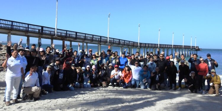 Recolectan 25 kilos de residuos en Macro Limpieza en playa “El Coromuel”