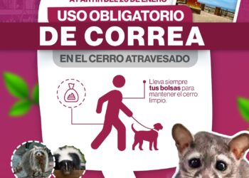 Ayuntamiento de La Paz implementa medidas para proteger la fauna del Cerro Atravesado