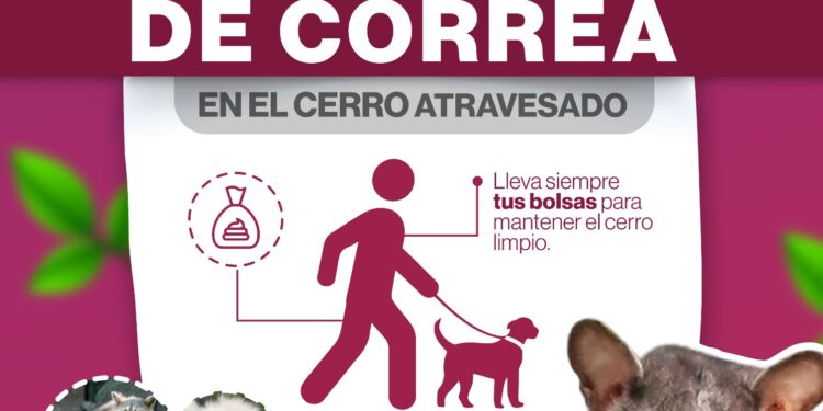 Ayuntamiento de La Paz implementa medidas para proteger la fauna del Cerro Atravesado