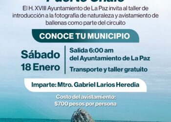 Impartirán taller de fotografía en el marco del Festival de la Ballena en Puerto Chale
