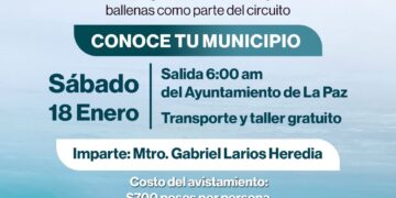 Impartirán taller de fotografía en el marco del Festival de la Ballena en Puerto Chale