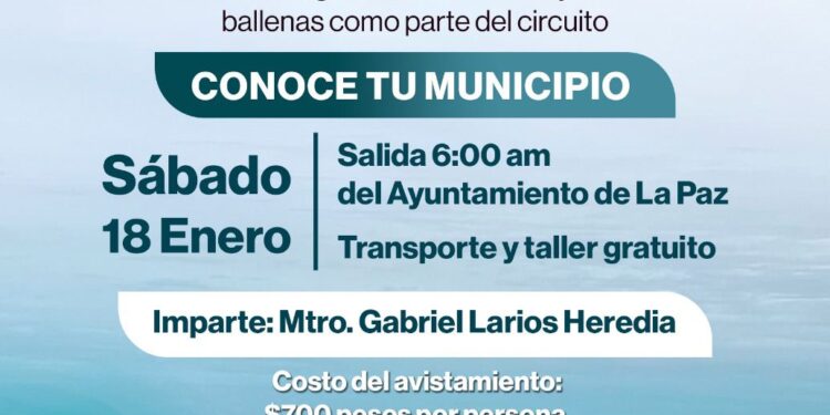 Impartirán taller de fotografía en el marco del Festival de la Ballena en Puerto Chale