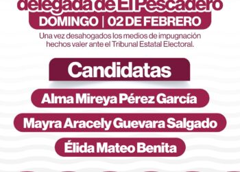 La Comisión de Consulta Ciudadana para Designar a las Autoridades Auxiliares del Ayuntamiento denominados Delegados o Delegadas y Subdelegados y Subdelegadas del Municipio de La Paz