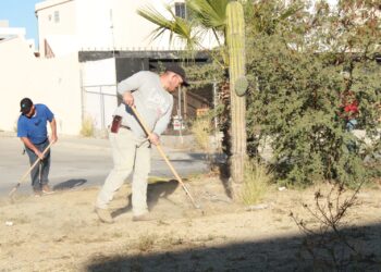 Limpia Servicios Públicos más de 3 mil 400 metros de camellones en San José del Cabo