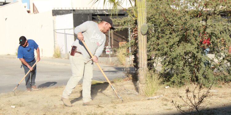 Limpia Servicios Públicos más de 3 mil 400 metros de camellones en San José del Cabo