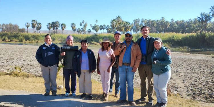 UABCS Los Cabos conmemora el Día Mundial de los Humedales con actividades de avistamiento de aves y educación ambiental