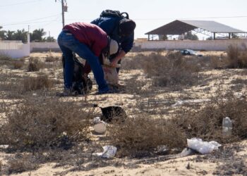 UABCS fomenta conciencia ambiental con jornadas de limpieza 
