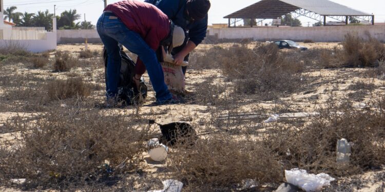UABCS fomenta conciencia ambiental con jornadas de limpieza 