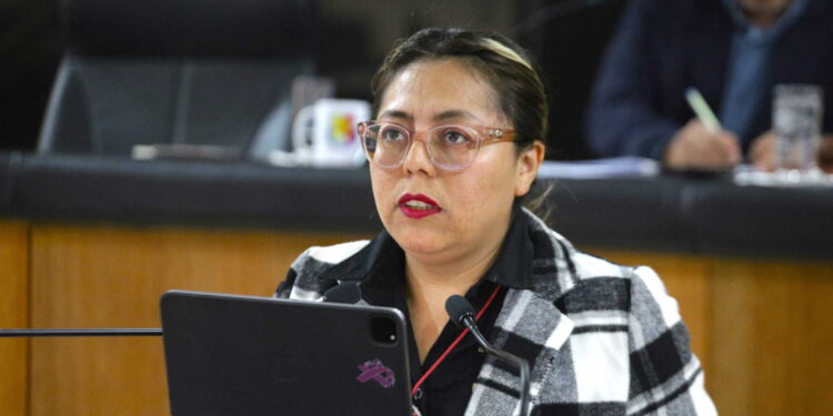 Proponen que madres solteras, trabajadores del campo y jóvenes sean prioridad en programas de vivienda