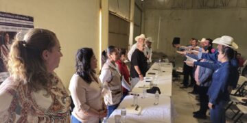 Ante sequía, rehabilitarán ollas de captación de agua de lluvia en Los Cabos 