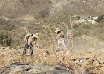 Servicios Públicos Municipales de Los Cabos  atiende reportes ciudadanos ante basureros clandestinos en Col. Vista Hermosa Plus